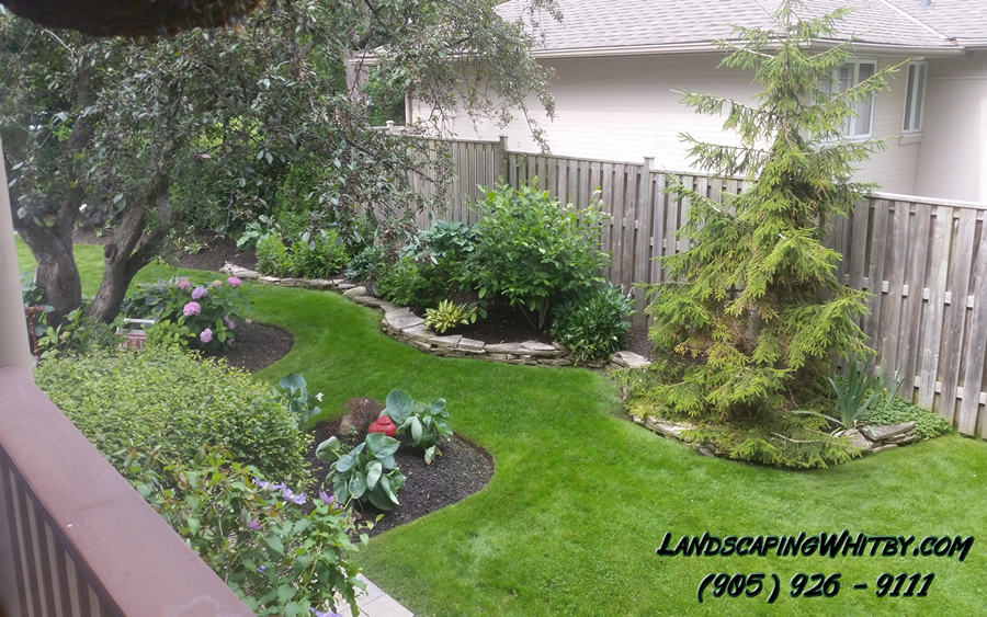 Gardening Gardener Flower Beds